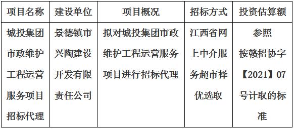 城投集團(tuán)市政維護(hù)工程運營服務(wù)項目招標(biāo)代理計劃公告