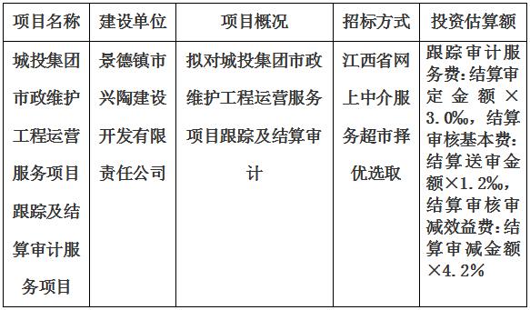 城投集團(tuán)市政維護(hù)工程運營服務(wù)項目結(jié)算審計服務(wù)項目計劃公告