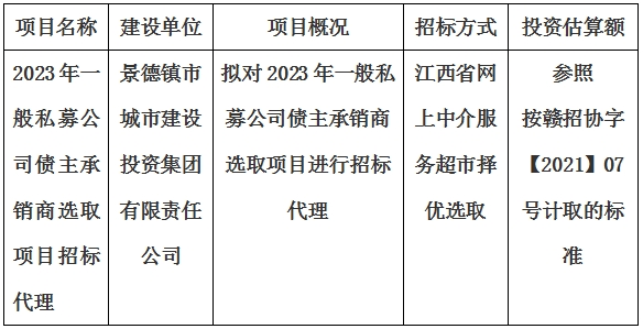 2023年一般私募公司債主承銷商選取項(xiàng)目招標(biāo)代理計(jì)劃公告