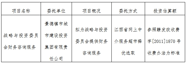 戰(zhàn)略與投資委員會財務咨詢服務計劃公告