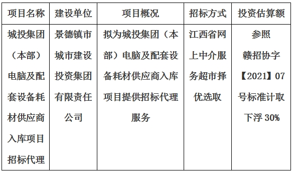 城投集團(tuán)（本部）電腦及配套設(shè)備耗材供應(yīng)商入庫項目招標(biāo)代理計劃公告